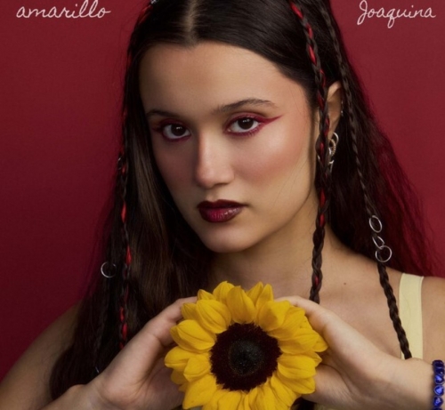 Joaquina is launching a new theme and painted “yellow” …