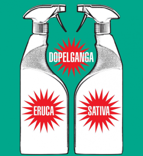 Eruca Sativa puts the finishing touches on her 15th birthday with “Dopelganga”