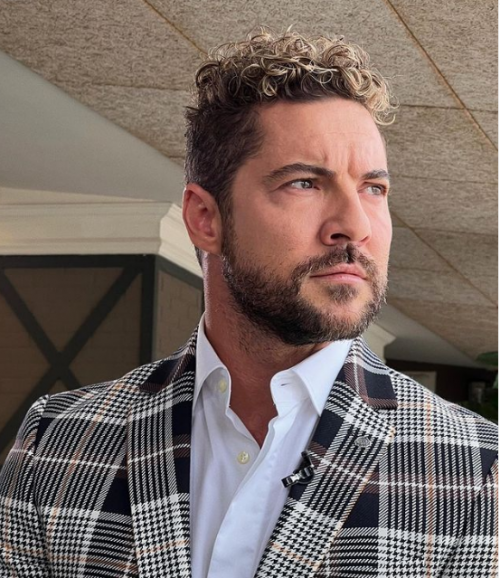 David Bisbal, devastated by the death of a very special person