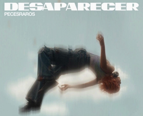 Peces Raros performs “Disappear” before its first Luna Park