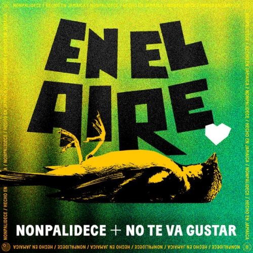 Nonpalidece + You won’t like they present “Dans l’air”
